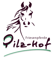 Pilzhof Friesenpferde